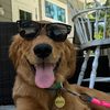 maverick.the.basi