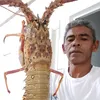adalbertomoraisde6