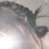 ma.xio0