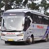 okkipratama611