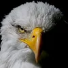 user310110643