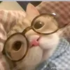 thashie_dalazy009