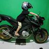 holtha_27