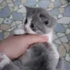 noepjerry
