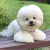 dochocunyeu