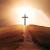 danthesonofgod714