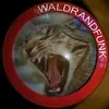 waldrandfunk4