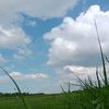 panji.ar.rajiq