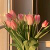 userrr_88885