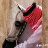 awadhamed404