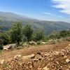 aldanafrealestate