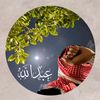 user7029068825207