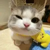 mumu_izz1