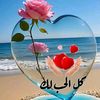 hassen.boufelgaa