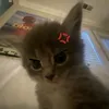 amy_ennyi