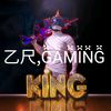 zrgaming1vs8