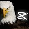 the..flying_eagle