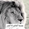 user7687608101359