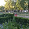 nederland.abdel