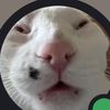 michaelpaulsen1