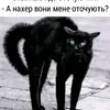 user6382301225811