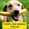 vasiliy4662