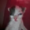 zahraa_alaa17