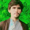 muhammad_hamid__786