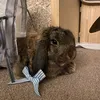 jessicaslittlepets