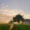 rizal.sy63