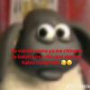 chaka_373832