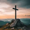 jesus_vive391