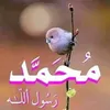 sham.laza