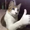 lil_wuy