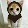 seblak_ceker32