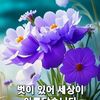user6281730358742