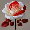 user6270941667610