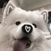nina.yew.mina.v.h