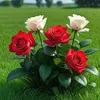 alan.hawlery1