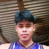 neilvicemberga