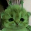 chiyaa_88