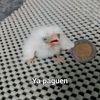 1keiverperozo