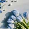 tulipblue31