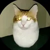 bituchoiroihuhuhuhu