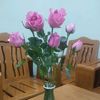 hnin.si.phyu.hnin