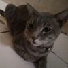 user7818728518192