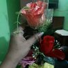 user1200338619573