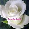 devikrishnan28
