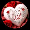 user8175508244850
