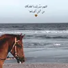 lorans.aya55
